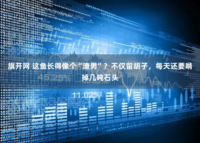 旗开网 这鱼长得像个“渣男”？不仅留胡子，每天还要啃掉几吨石头